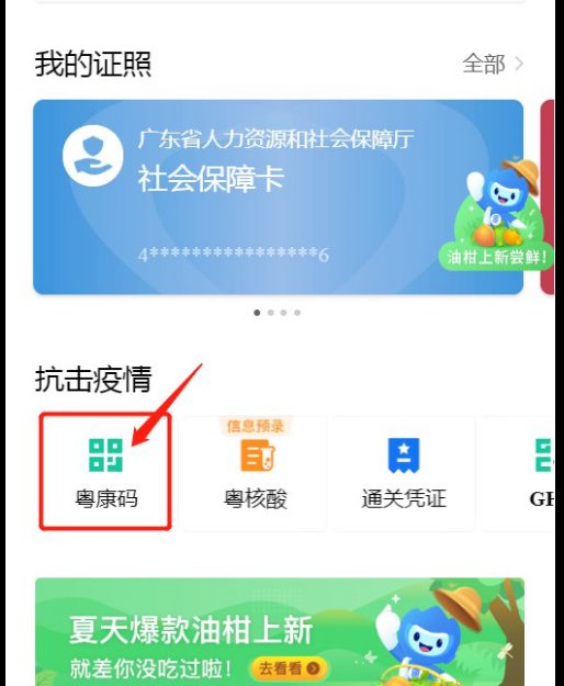 湛江新冠疫苗接种记录怎么查?