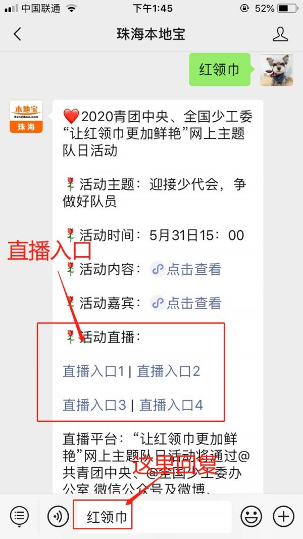 2020让红领巾更加鲜艳网上主题队日活动(最新消息)