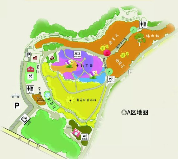 中山云梯山森林公园在哪