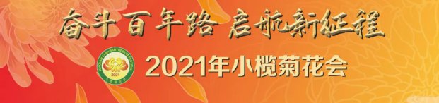 2021中山小榄菊花展最新消息（持续更新）