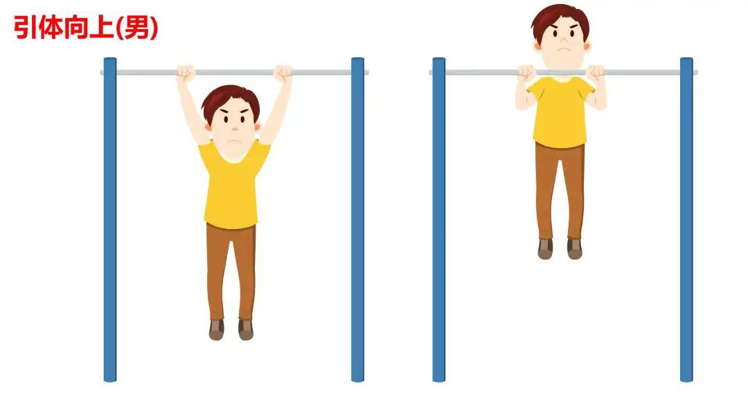 双杠臂屈伸(男),仰卧起坐(女),实心球,1分钟跳绳,原地纵跳摸高,立定