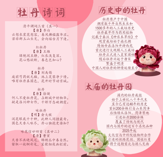2026年北京太庙牡丹游园活动全攻略（时间+地点+门票+交通+活动）