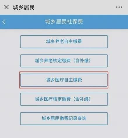  医疗保险网上怎么缴费，医疗保险网上怎么缴费微信