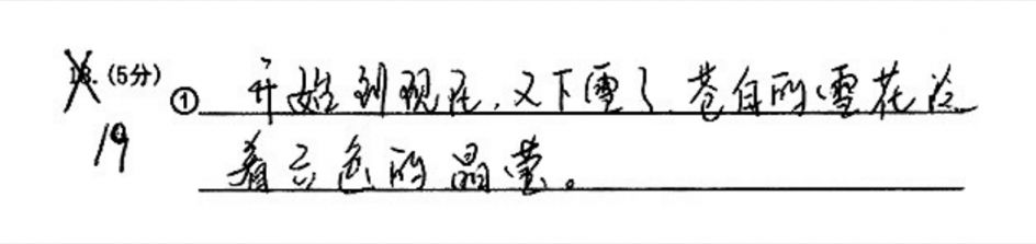 2026年四川普通高校专升本考试答题要求