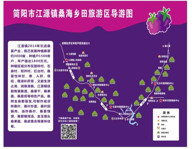 2026简阳市江源镇桑葚采集时间+地点