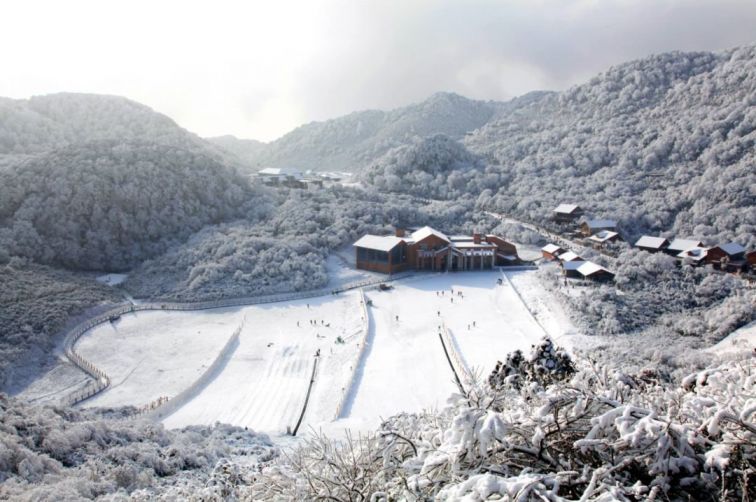 2022重慶金佛山下雪時間及圖片