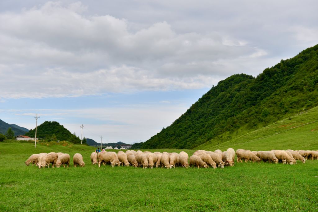 2025重庆5个小众避暑风景区推荐
