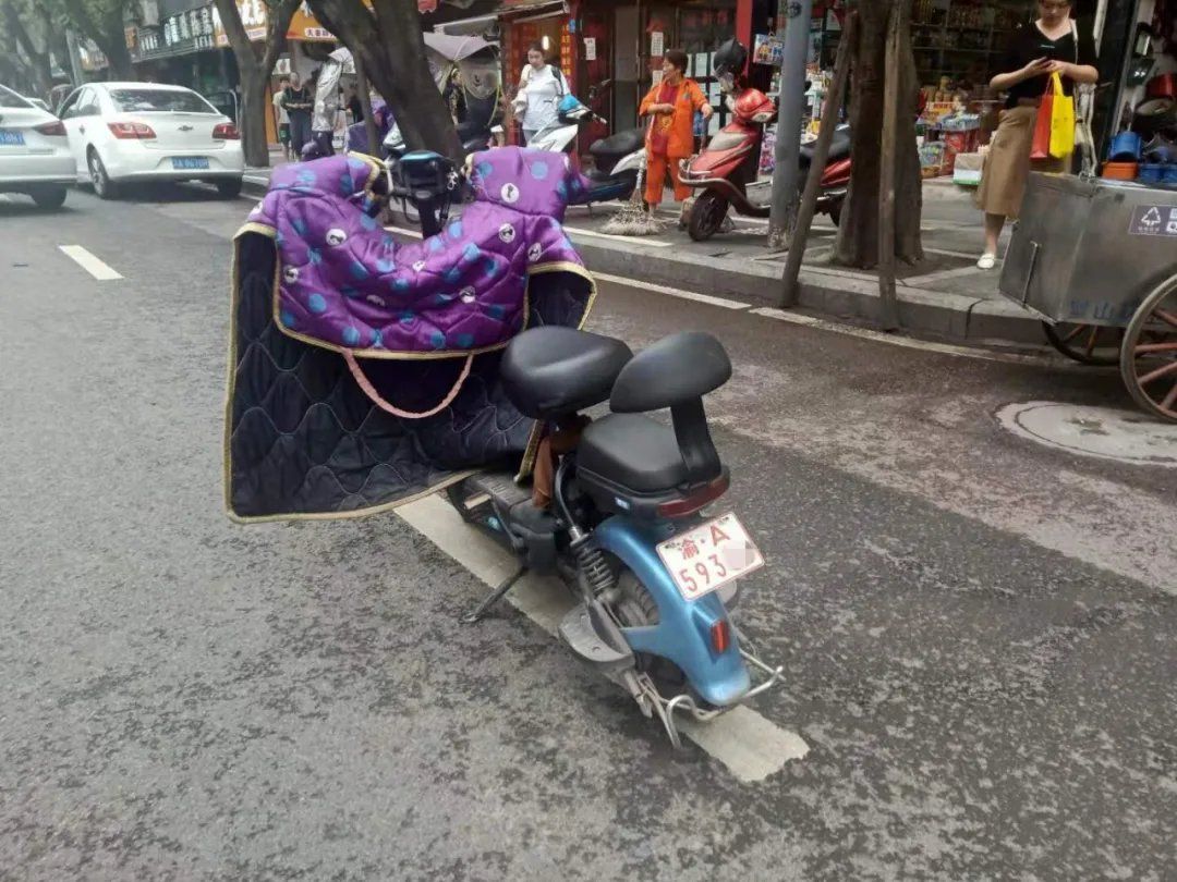 重庆电动自行车牌照图片