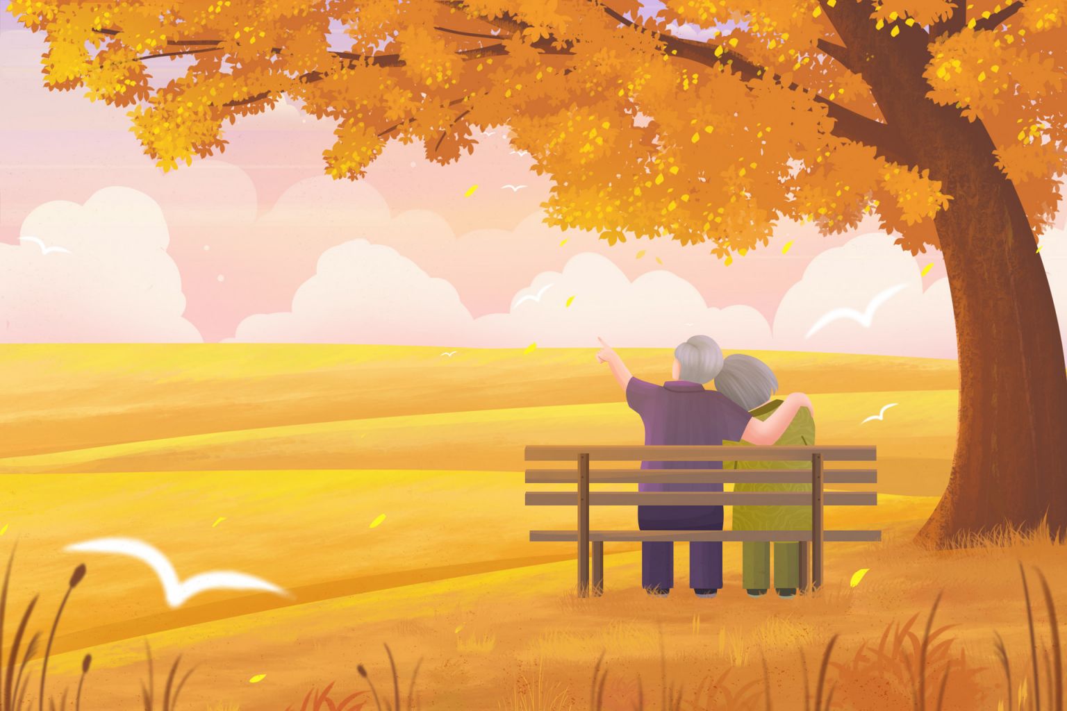 石家庄退休年龄计算器