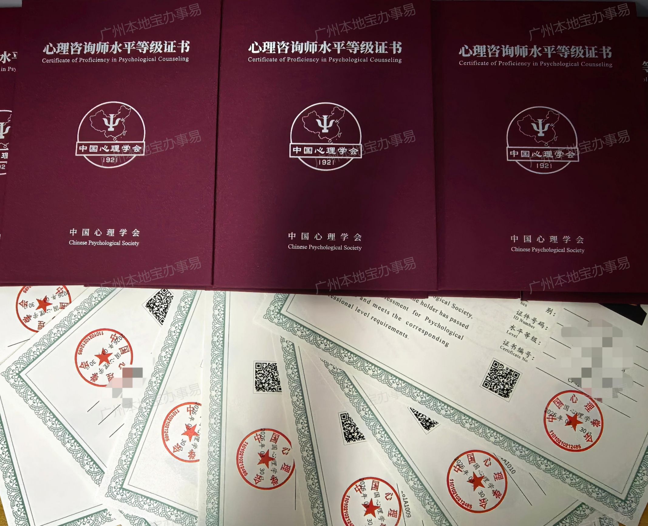 全国心理咨询师报名入口https://sppj.psysoc.org.cn/