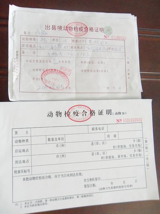 黑龙江取消手写动物检疫证明电子出证覆盖已全省