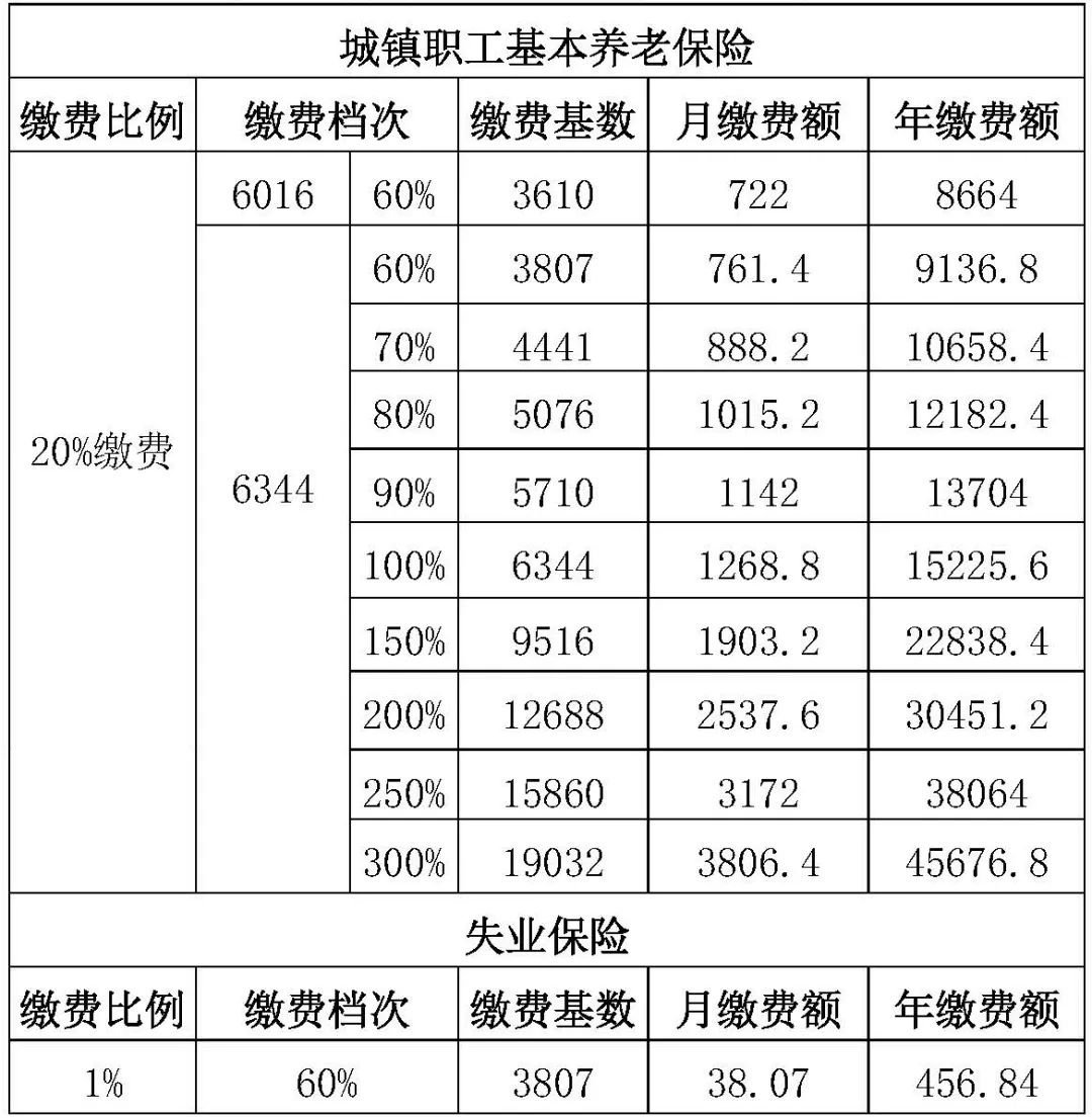 呼和浩特养老保险缴费指南