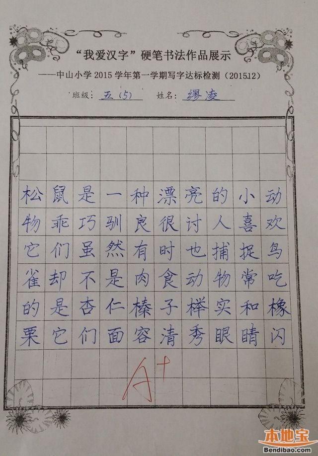 衢州小学生写字工整如印刷体 网友:不如小学生(组图)