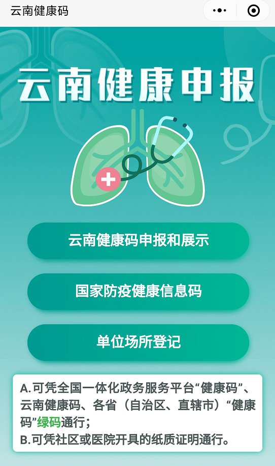 云南健康码申报图片