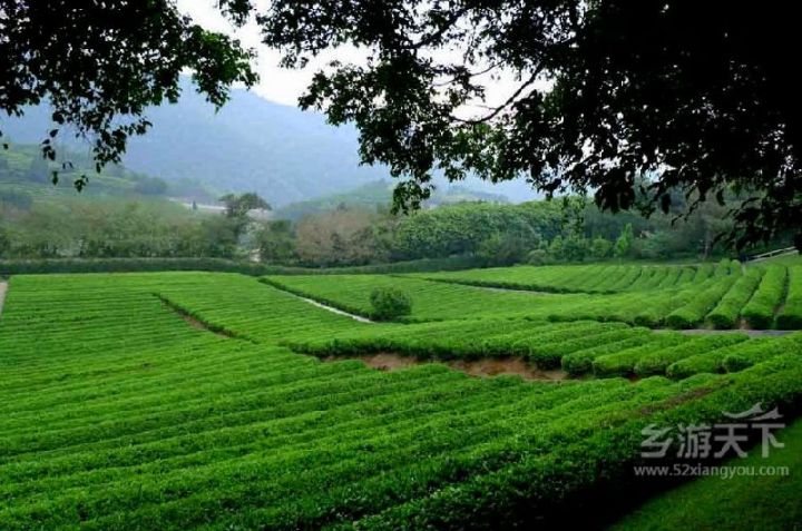 夏日梅州休閒度假勝地