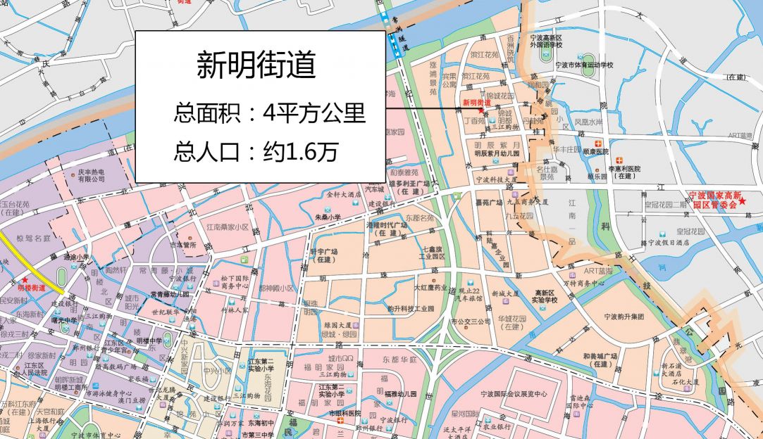 江东区新明街道地图全图高清版