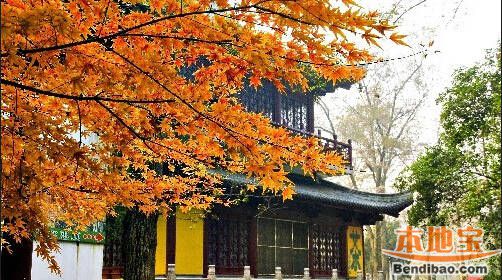 2016南京棲霞山紅楓節時間,門票