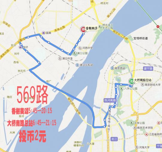 扬子公交557路图片