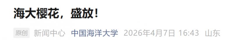 2026青岛海大的樱花开了吗？