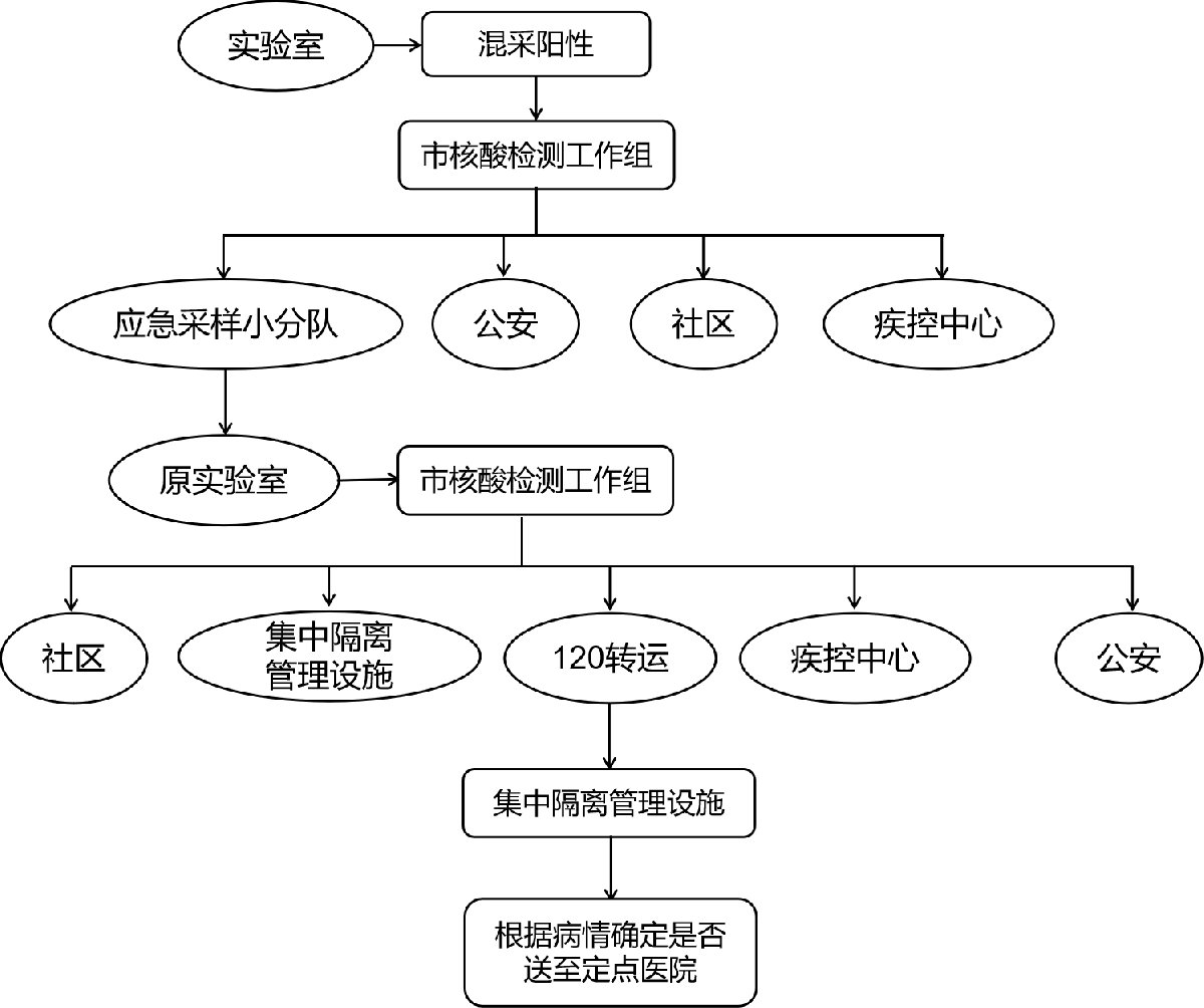 核酸检测原理流程图图片