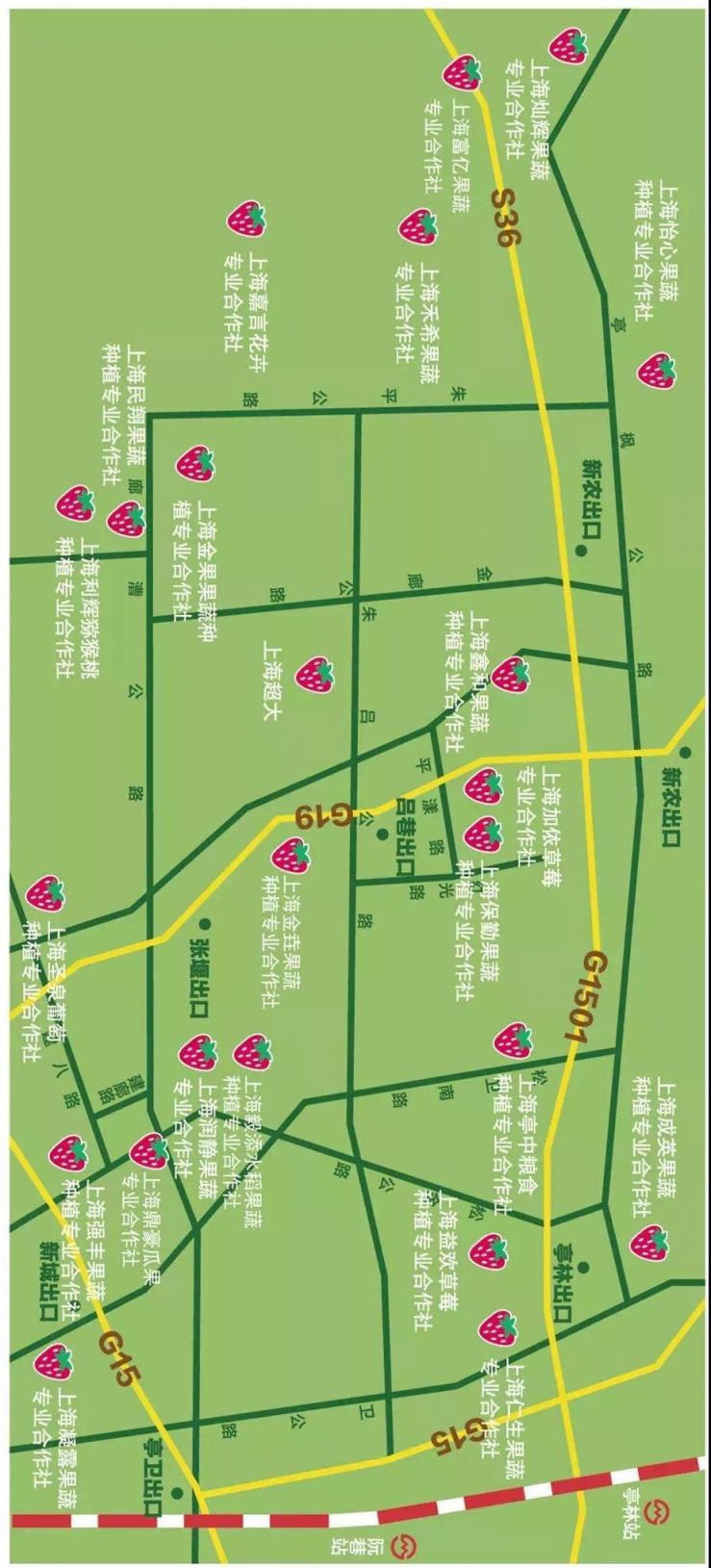 上海金山冬季游玩指南    八大体验任你选择 上海金山冬季游玩指南
