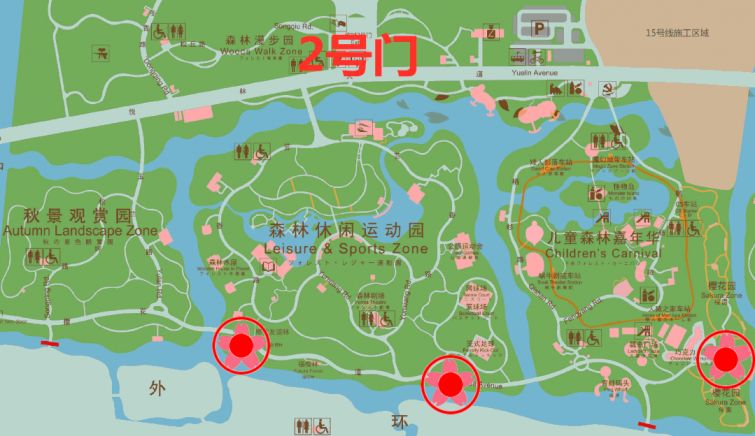上海顾村公园最佳赏樱区地图 (附游玩须知) 上海顾村公园最佳赏樱区