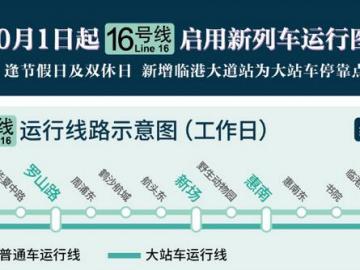 上海地铁16号线图图片
