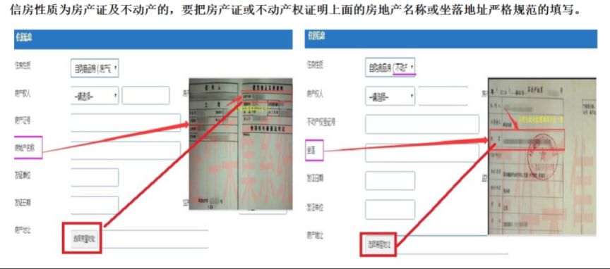 【本地资讯】2026年深圳龙岗区小一初一学位申请家长端操作指南（图文详解）