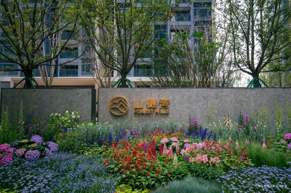 从落脚到扎根，835批深圳人用行动为“留下”投下一票