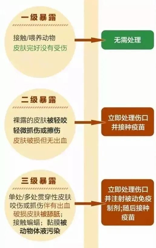 醫護人員會根據傷口的暴露情況,做進一步處理,決定要不要打狂犬疫苗