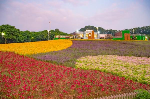春天深圳宝安赏花好去处鸟语花香踏青走起图