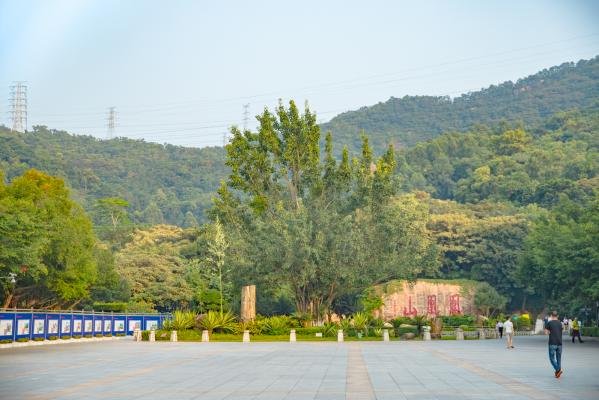 深圳市寶安區鳳凰山森林公園正常開放,鳳凰山上的鳳巖古廟暫停開放