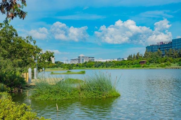 深圳華僑城溼地公園門票:免費,但需要網上預約