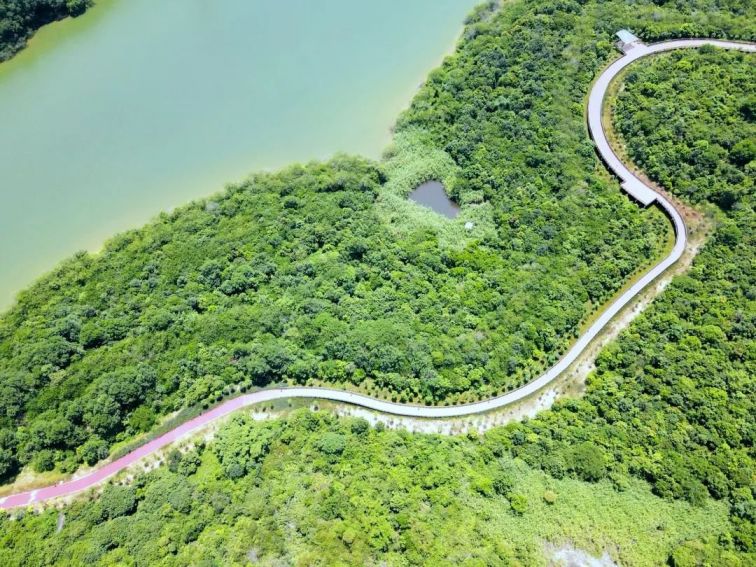 深圳石岩湖绿道图片