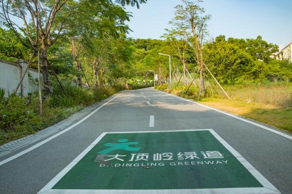 深圳绿道有哪些骑车跑步徒步好去处