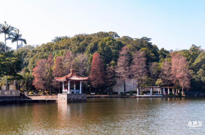 深圳仙湖植物園春節要預約嗎