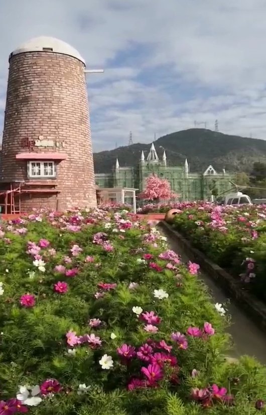 深圳东方玫瑰花园图片