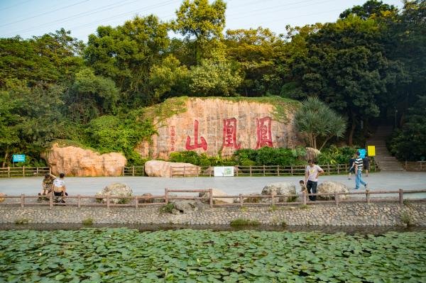 深圳鳳凰山森林公園有荷花嗎