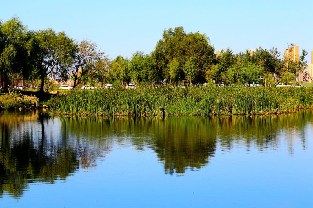 烏巾蕩溼地公園是國家3a級旅遊景區,位於興化市區北部,交通便捷,茲換