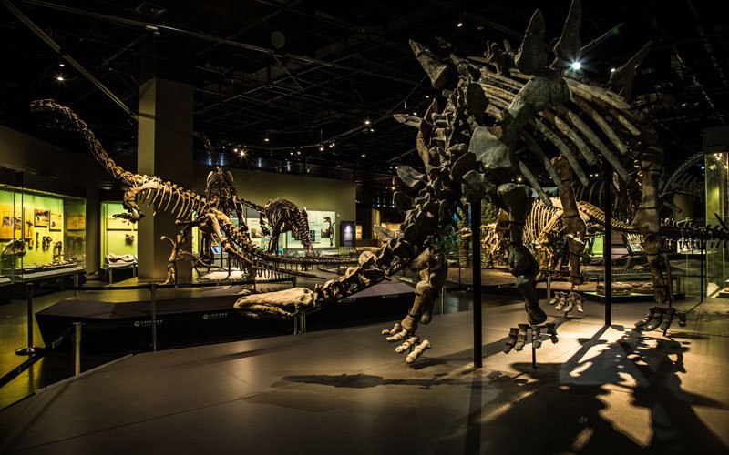 天津自然博物馆二楼家园生命展区参观攻略