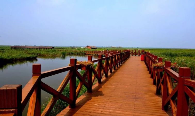 天津七里海古海岸溼地公園交通指南