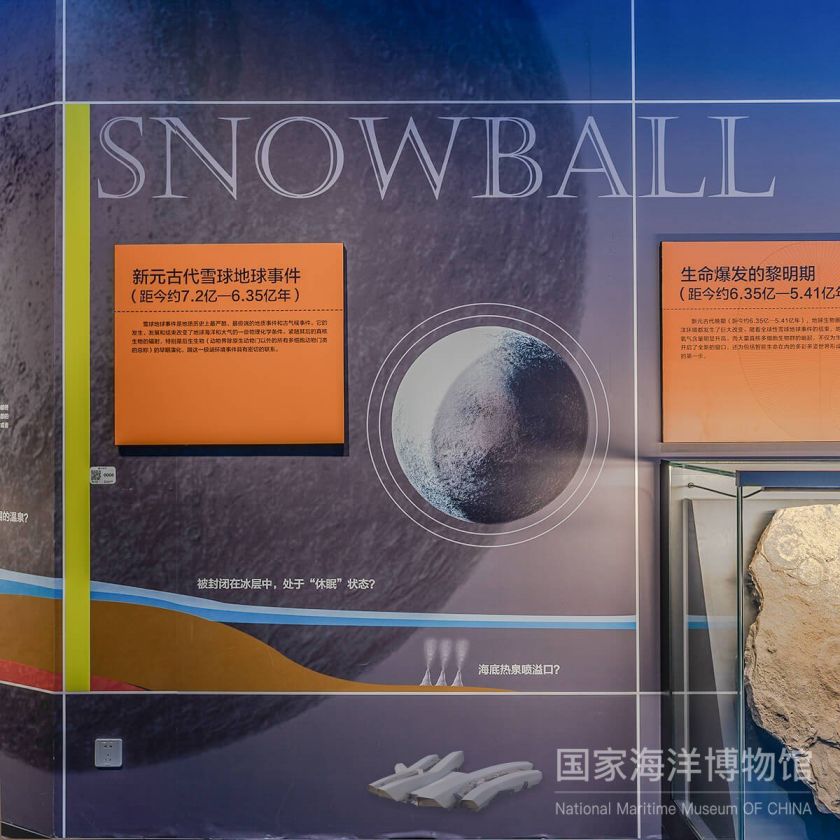 国家海洋博物馆远古海洋展厅游玩亮点