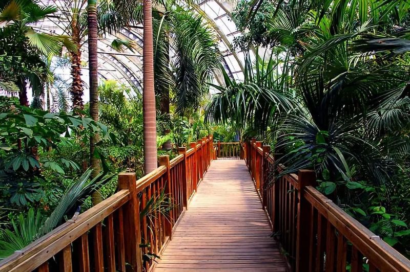 天津热带植物园图片