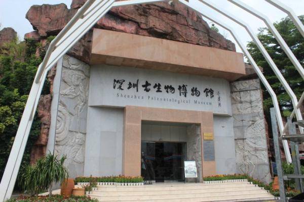深圳古生物博物馆游玩攻略
