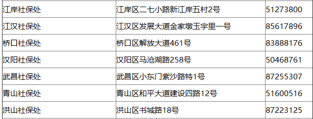 社保地址:地址:江汉区新华路25号伟业大厦电话:85749470承办机构:武汉