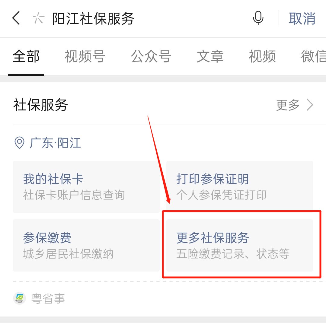 阳江社保缴费余额怎么查询