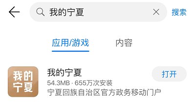 宁夏健康码app下载入口在哪