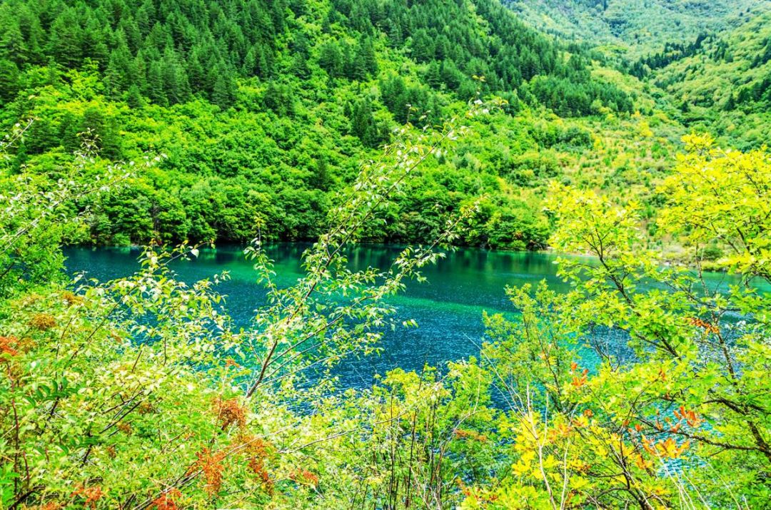 九寨沟卧龙海景区介绍