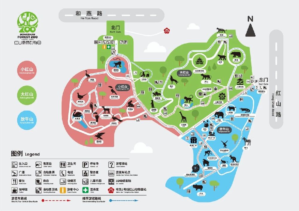动物园游览线路图简单图片