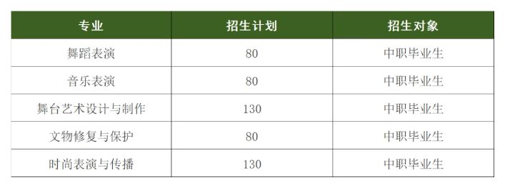 2026湖北艺术职业学院单招考试大纲
